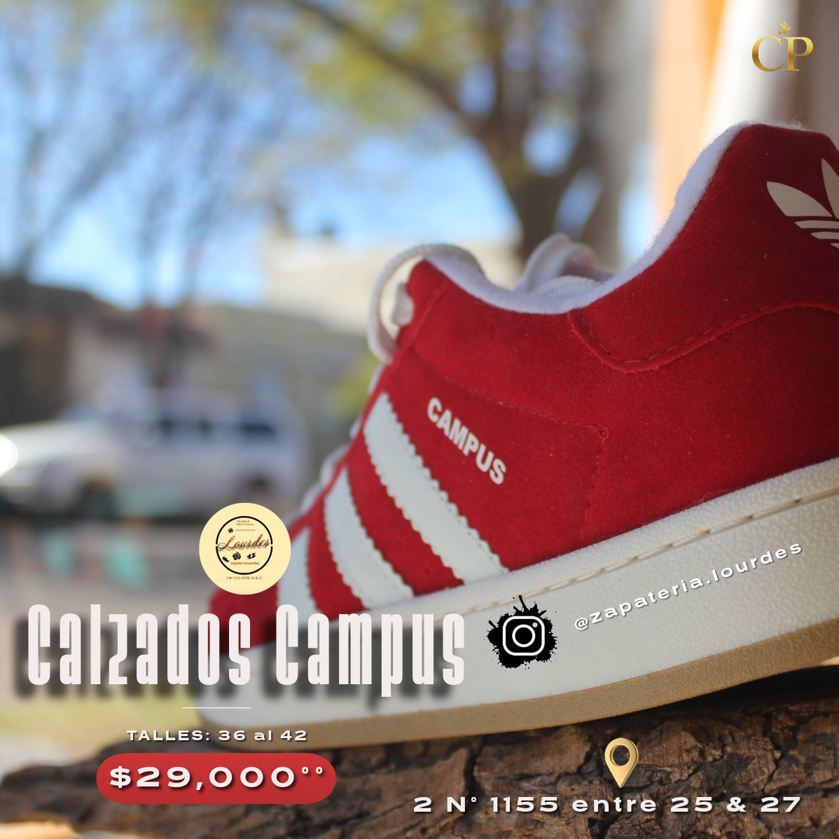 Calz Camps - LCI