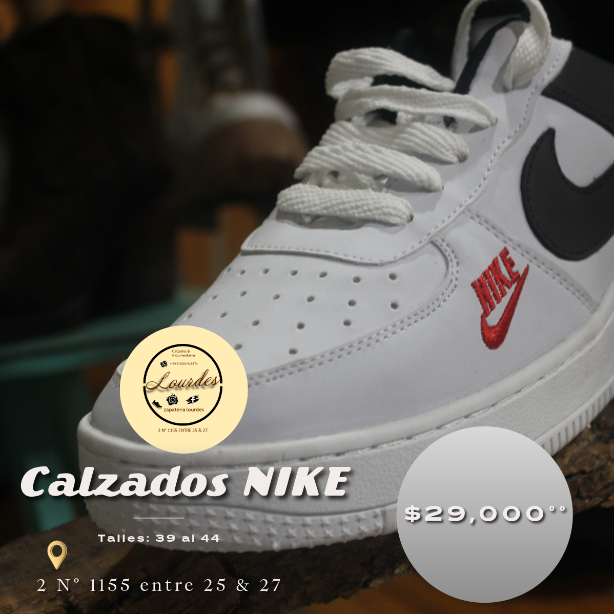 Flayer - Nike Lourdes C&I