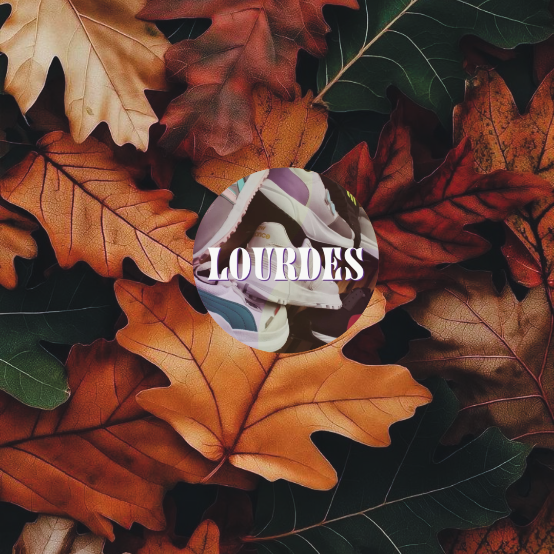 LOGO - Lourdes C & I